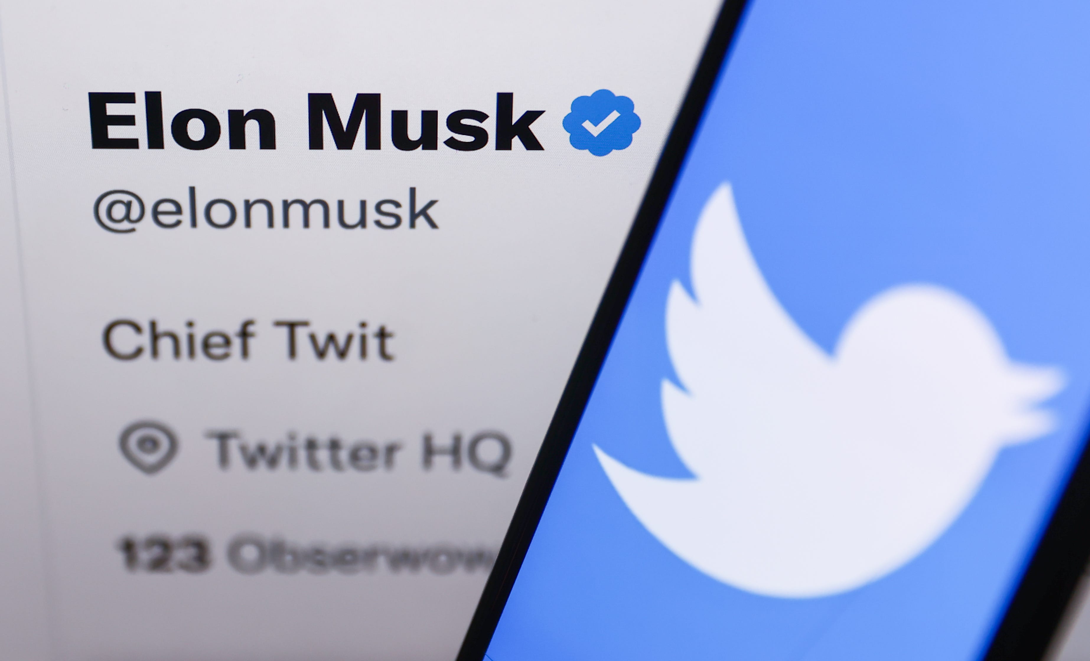 Elon Musk's Twitter account next to the Twitter logo